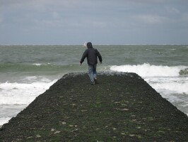36 Norderney 2006